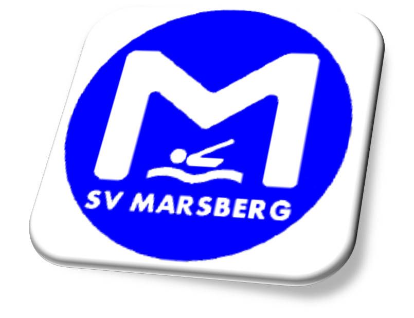 Protokoll zum 38. Marsberger Schwimmertag